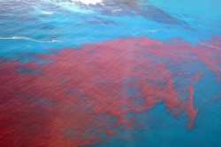 STANDARD LICENSE; PLEASE SEE ADDITIONAL ASSET FOR FULL LICENSE TERMS.