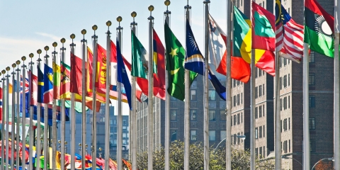 STANDARD LICENSE; PLEASE SEE ADDITIONAL ASSET FOR FULL LICENSE TERMS.Flags of all nations outside the UN in New York City.