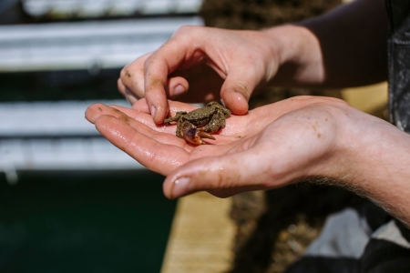 IMS Pontoon; 18th June 2019
