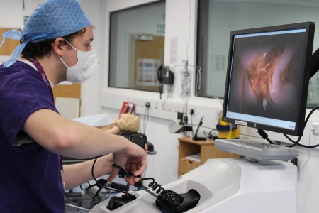 Staff Submission. Watermarked due to quality control, please inspect before using for print.