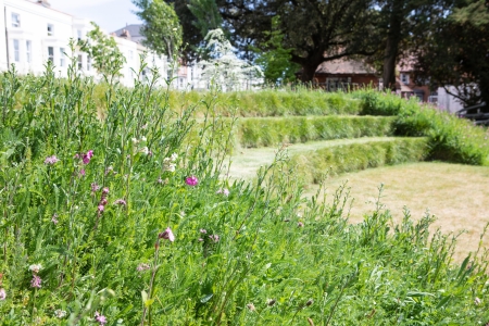 Wildflower amphitheatre in Ravelin Park