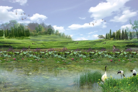 Landscape illustration of a field and pond by Shuk Chiu