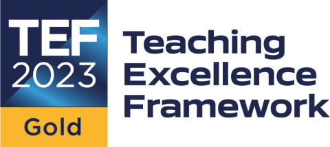 TEF Gold Teaching Excellence Framework // For digital  use