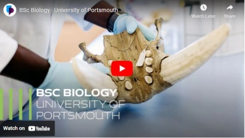 Thumbnail for BSc Biology overview video